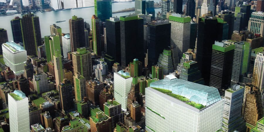 Business Impact of Green Buildings Essay