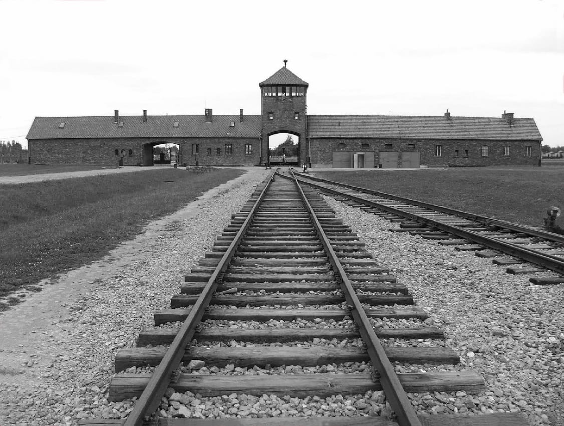 Essay on Holocaust